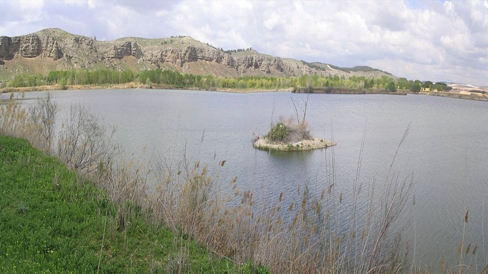 Conocer Madrid: El Parque regional del Sureste