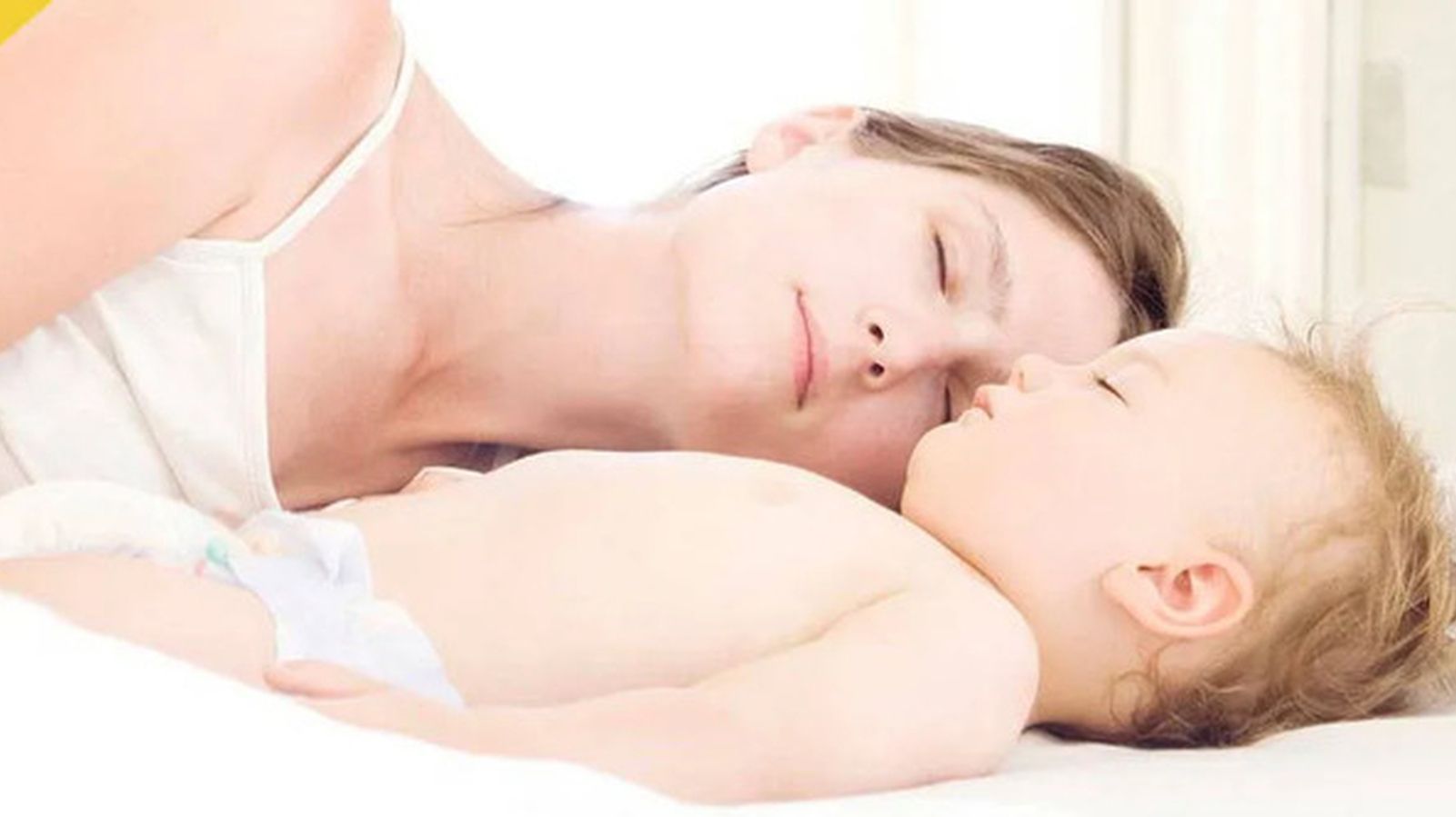 Las mejores opciones de mosquiteras para este verano