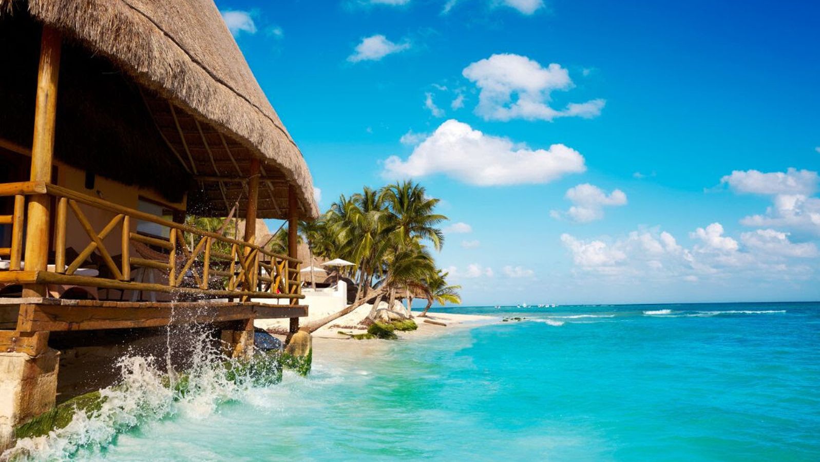 Descubre la naturaleza de Cancún, un paraíso tropical