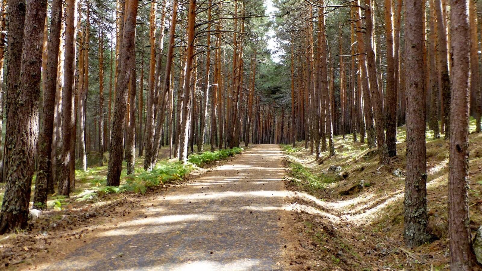 Descubre las rutas ciclistas por la cuenca alta del río Manzanares en la Comunidad de Madrid