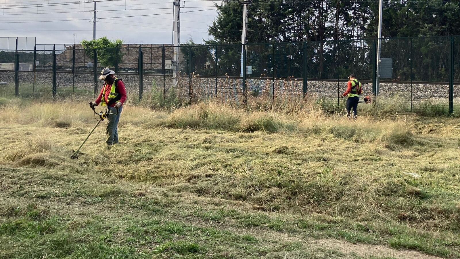 El Escorial inicia una campaña urgente de desbroce para minimizar el riesgo de incendios