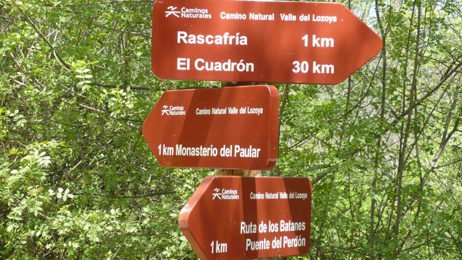 Explora la sierra norte de Madrid: el camino natural del Valle del Lozoya
