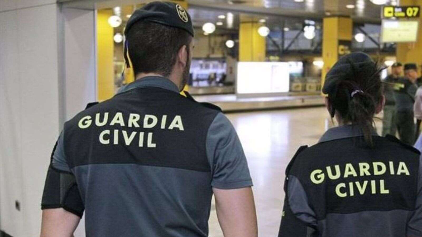 Descubren en Barajas un paquete con 15 tarántulas en recipientes de plástico