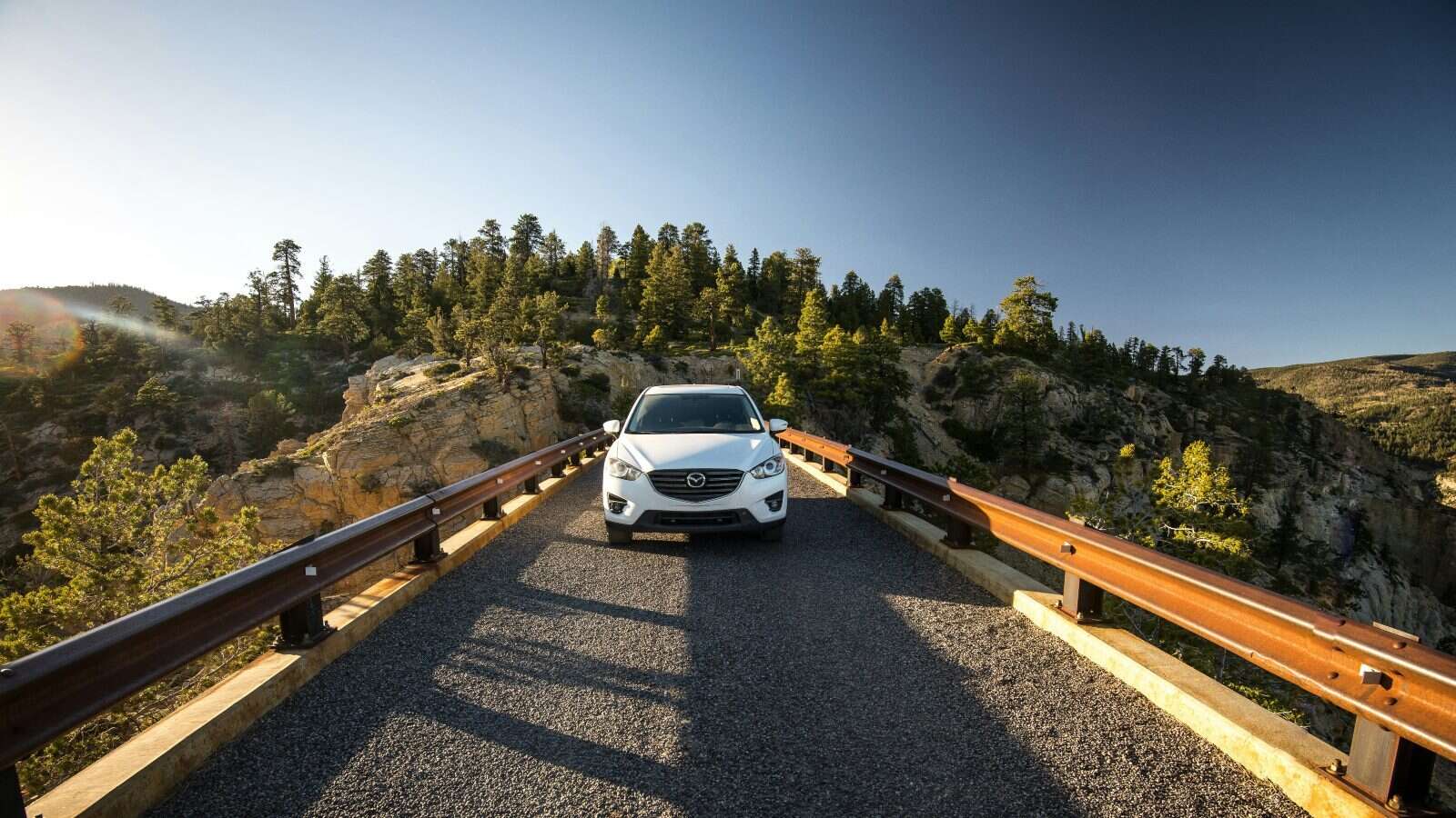 Descubre todos los beneficios del renting de coches para tu negocio