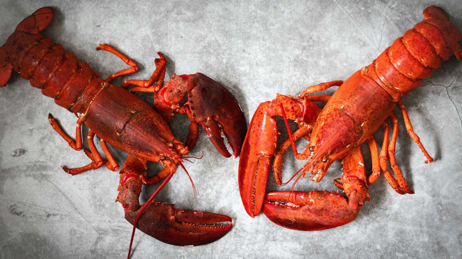 Marisco a domicilio en Madrid: la mejor opción para esta Navidad