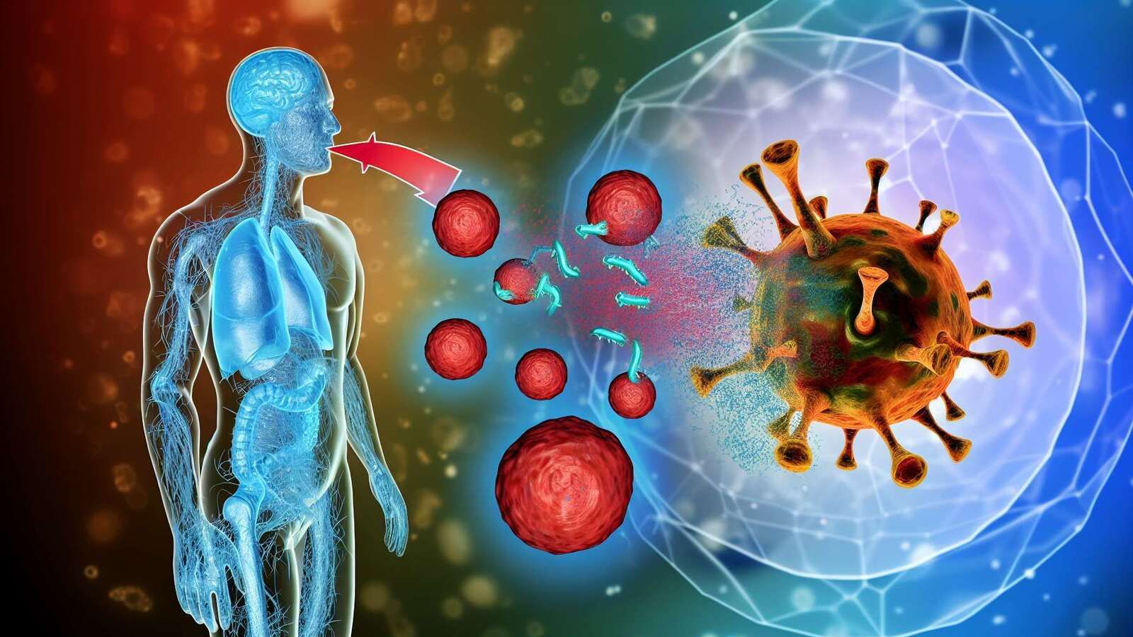 Descubren cómo una infección viral puede causar una enfermedad autoinmune