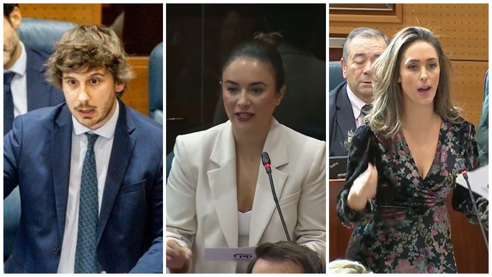 Tres diputados del PP dejan su escaño en la Asamblea de Madrid tras la salida de Viciana