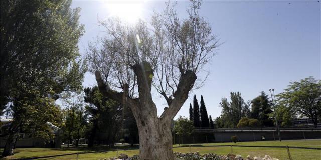 Las víctimas de Spanair conmemoran el sexto aniversario del accidente aéreo