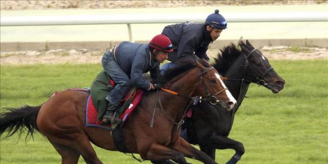 Domingo de grandes en La Zarzuela
