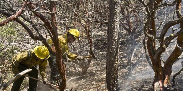 Bomberos forestales de Madrid denuncian su externalización
