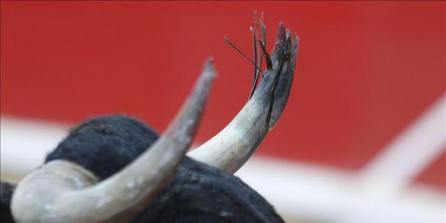 Más de 100.000 personas firman contra los festejos "crueles" con los animales