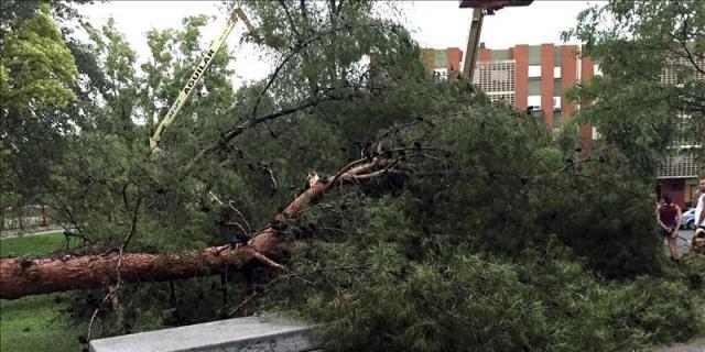 Una fuerte tormenta tira seis árboles y causa inundaciones en Alcorcón