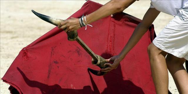La Escuela de Tauromaquia de Madrid, Premio Nacional