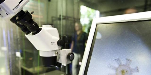 El Hospital Puerta de Hierro alerta sobre reacciones cutáneas graves a fármacos