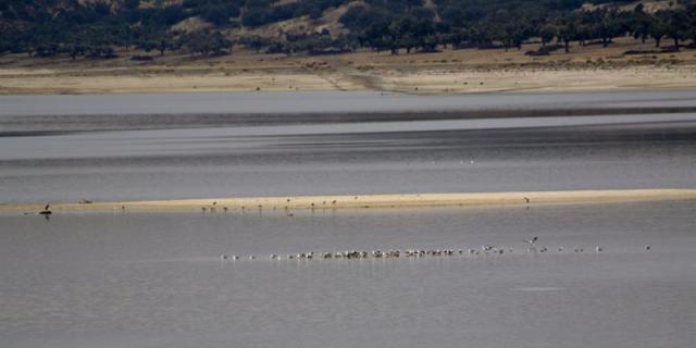 Madrid tiene sus embalses al 90% tras las lluvias