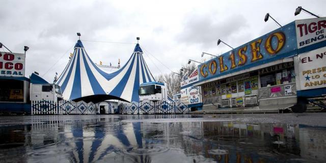 Coslada prohíbe animales en los circos