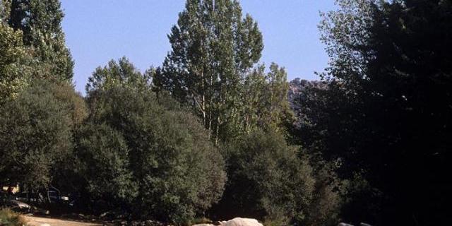 Comercios de Manzanares protestarán contra las restricciones en La Pedriza