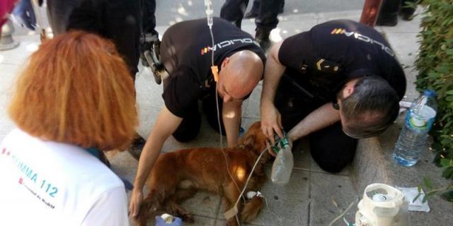 Un incendio en Pozuelo deja seis personas intoxicadas
