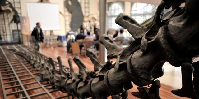 El Museo Nacional de Ciencias Naturales abre sus sótanos a Google