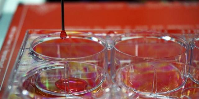 Científicos españoles diseñan una bioimpresora de piel humana