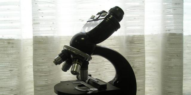 Un equipo de la UCM halla una bacteria resistente al antibiótico de último recurso