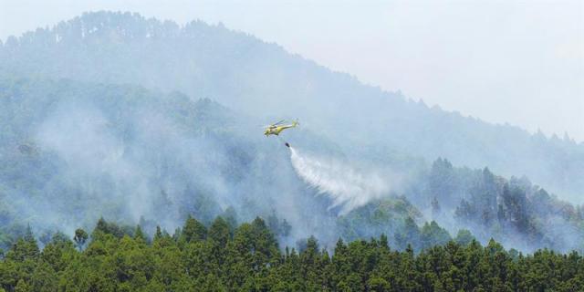El Seprona mejorará sus mecanismos de prevención y vigilancia para evitar incendios 
