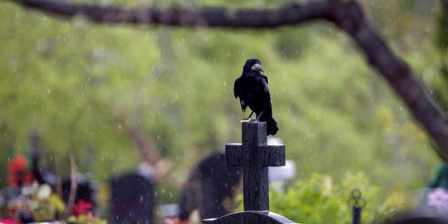 Ayuntamiento añadirá 1.066 unidades de enterramiento a cementerio de Vallecas
