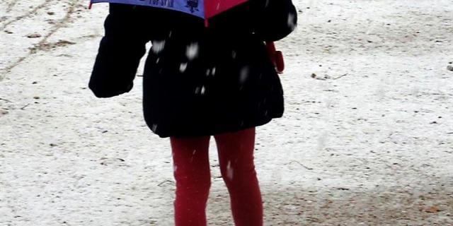 Crean una plataforma para pedir una puerta de emergencia en un colegio de Villanueva de la Cañada