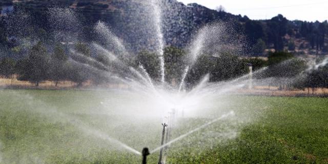 Un estudio alerta de bacterias capaces de degradar el agua en lagos y embalses