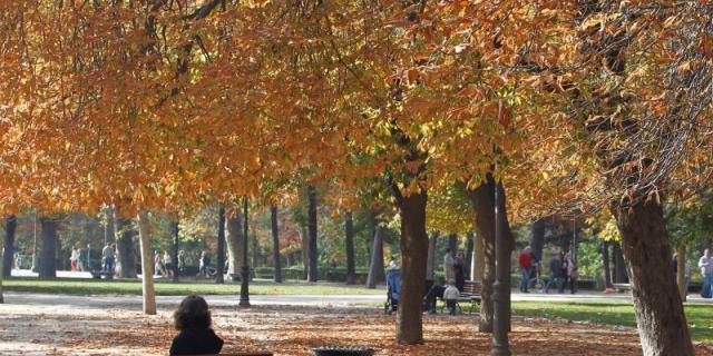 La Autónoma estudia el cambio emocional de los madrileños mediante una app