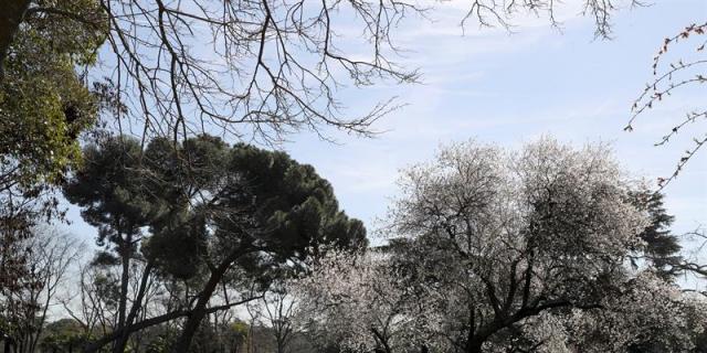 La Comunidad elabora un mapa online que informa de sus parques biosaludables