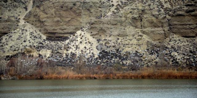 Rivas destina 45.000 euros a excavar zonas vinculadas a la Guerra Civil