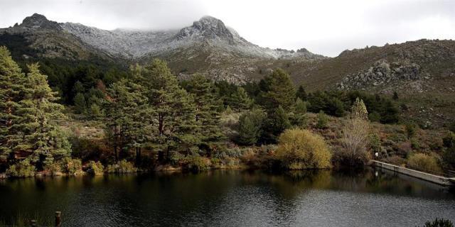Ecologistas reclaman más medidas de conservación para el Parque de Guadarrama