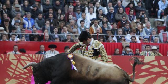 José Tomás: la penúltima reaparición