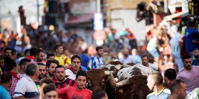 San Sebastián de los Reyes recogió 500 toneladas de basura en sus fiestas
