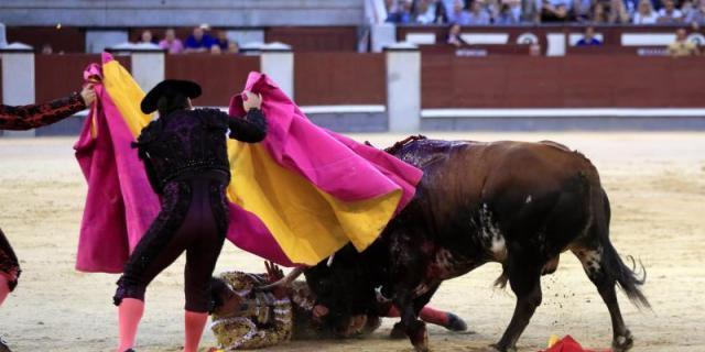 Fortes, cogido aparatosamente al entrar al quinto toro en Las Ventas