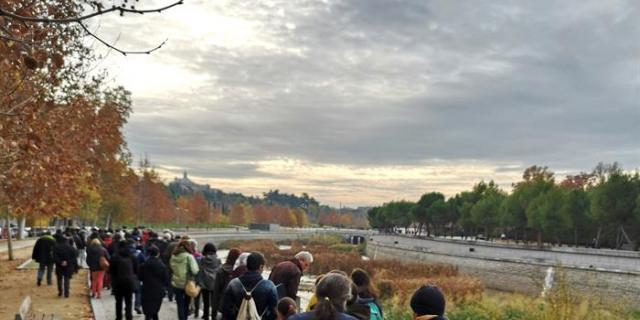 Los ecologistas enseñan la renaturalización del Manzanares en la capital