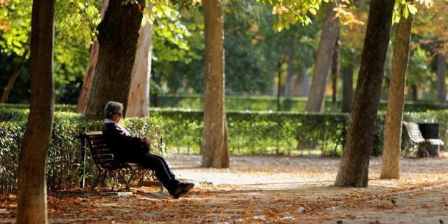 La recogida de la hoja, limitada en Madrid por los contratos integrales