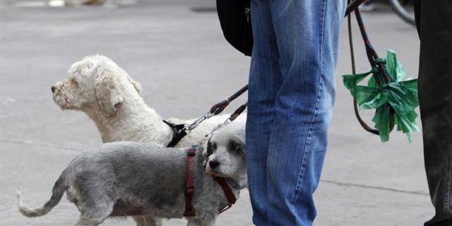 125 multas en Aranjuez por incumplir ordenanzas de medioambiente