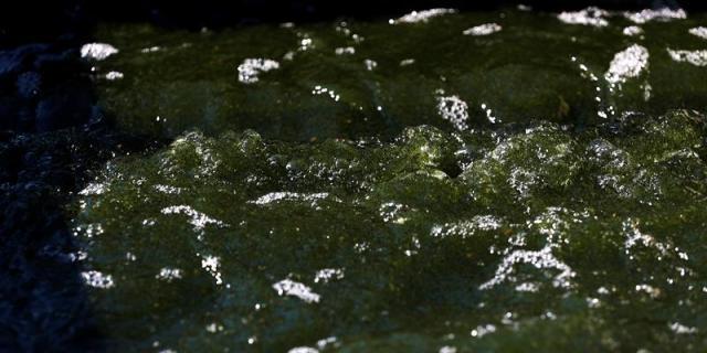 La UPM desarrolla un nuevo tratamiento con 3D para eliminar contaminantes de aguas residuales