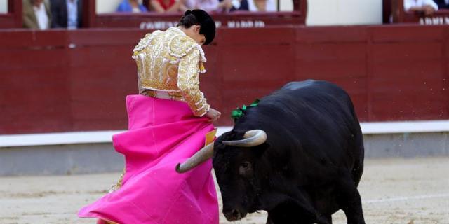 Colmenar Viejo ofrece cuatro novilladas en sus IX festejos taurinos nocturnos