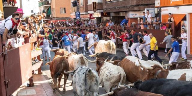 Un herido con pronóstico reservado y nueve leves en el encierro de Sanse