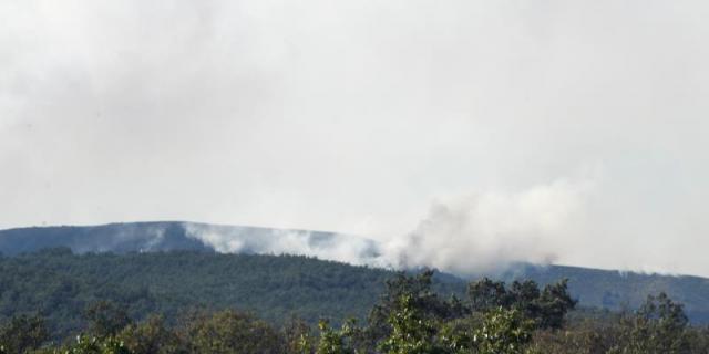 El peor verano de incendios forestales en la región