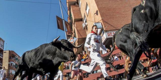 Once heridos en el quinto encierro de San Sebastián de los Reyes