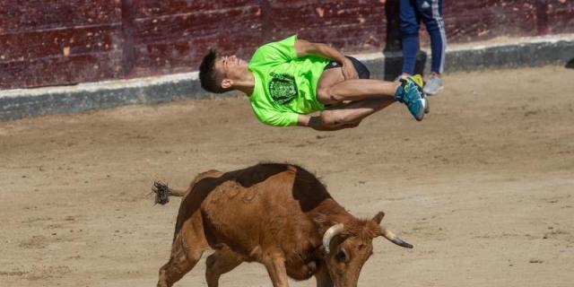 Casi toda España sigue dando toros en verano, aunque ahora a coste más bajo