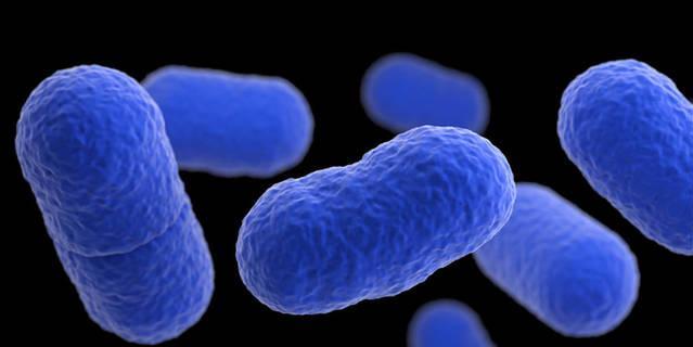 Seis sospechas de listeriosis en Madrid, incluido un bebé ingresado