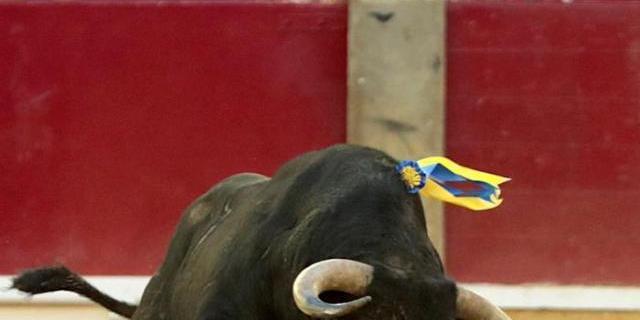 Retiran la ventilación mecánica al banderillero De la Viña, que está consciente