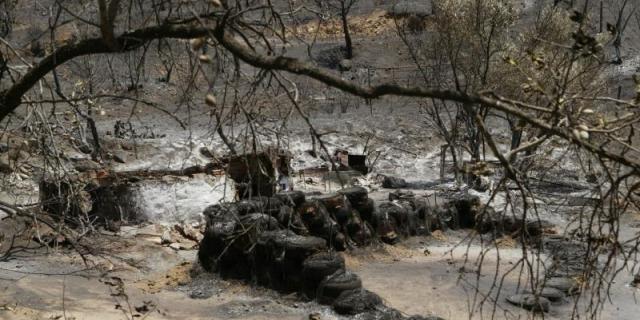 Medio millón de euros para los municipios afectados por el incendio de Cadalso