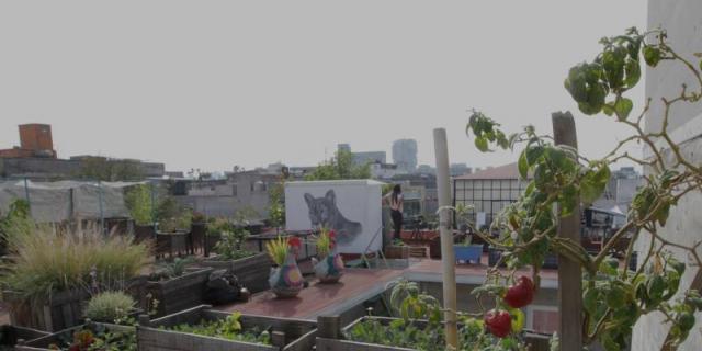 Collado Villalba pone a disposición de los vecinos 66 huertos urbanos