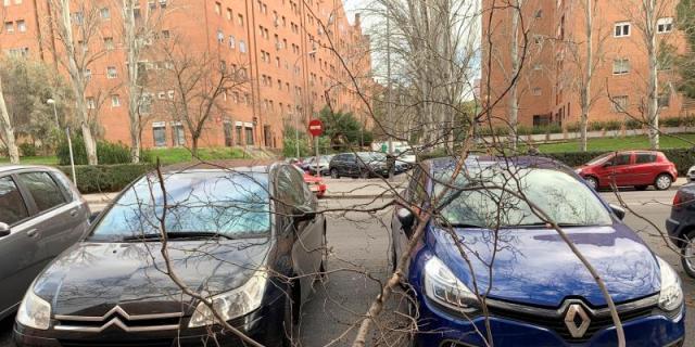 Los bomberos de la capital realizan 78 salidas por el fuerte viento